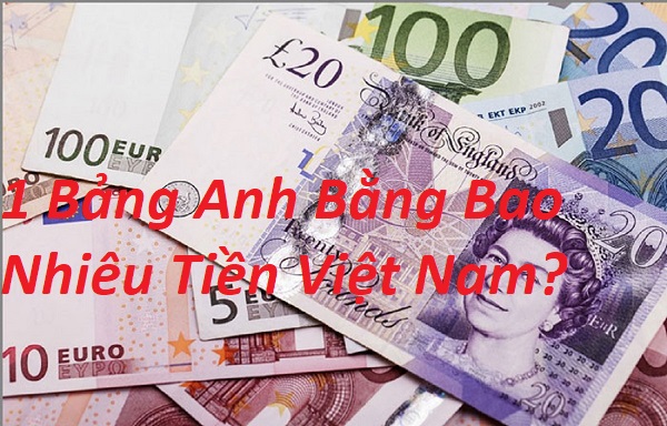 Quy Đổi 1 Bảng Anh Bằng Bao Nhiêu Tiền Việt Nam Mới Nhất