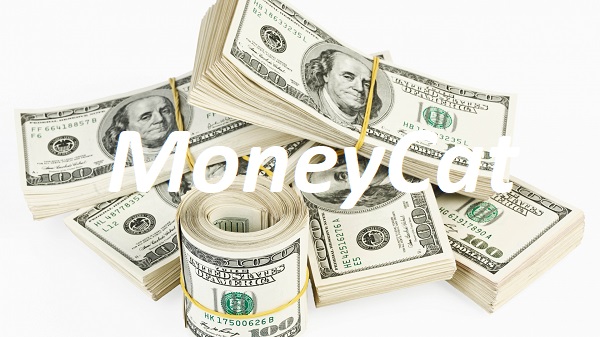 Vay Tiền Moneycat Online Nhanh Đơn Giản Lãi 0% Chỉ Cần CMND