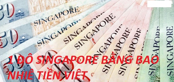 Chuyển Đổi 1 Đô Singapore Bằng Bao Nhiêu Tiền Việt Nam