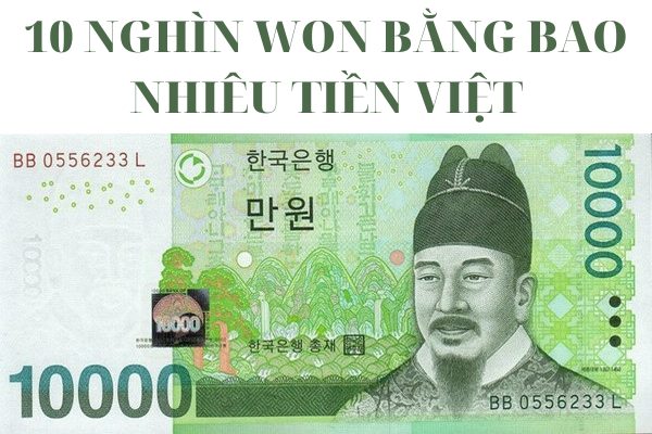 Cập Nhật Tỷ Giá Quy Đổi 10 Nghìn Won Bằng Bao Nhiêu Tiền Việt