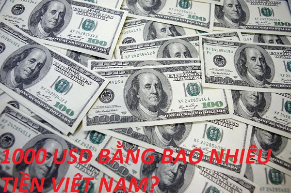 Tỷ Giá Chuyển Đổi 1000 USD Bằng Bao Nhiêu Tiền Việt Nam