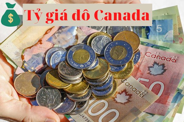 Cập Nhật Tỷ Giá Đô Canada | 1 Đô Canada Bằng Bao Nhiêu Tiền Việt?
