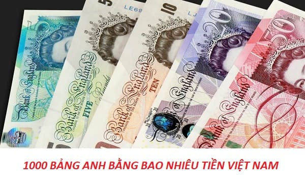 Tỷ Giá Quy Đổi 1000 Bảng Anh Bằng Bao Nhiêu Tiền Việt Nam