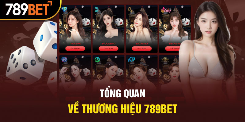 Tổng quan về thương hiệu 789BET